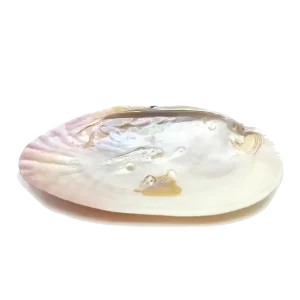 Nacre “Mother-of-Pearl” Plates