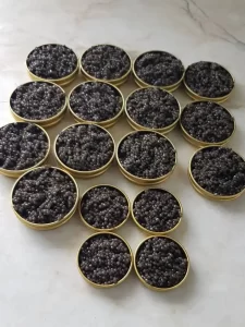 bluga-caviar